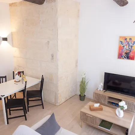 Appartement, Cinéma Privé Et Table De Massage Beaucaire (Gard)