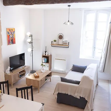 Appartement, Cinéma Privé Et Table De Massage Beaucaire (Gard)